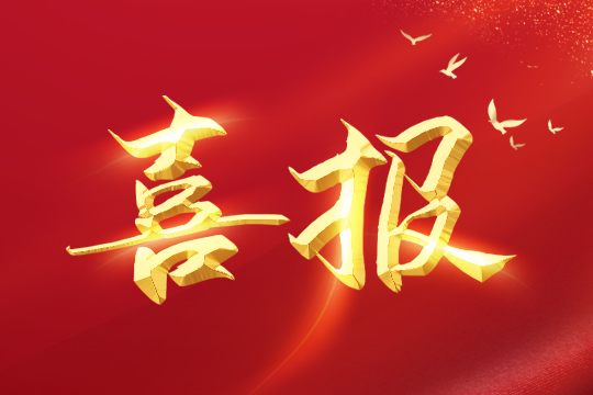 喜报 | leyu.乐鱼led球形屏成功入围“深圳企业创新纪录”！ 